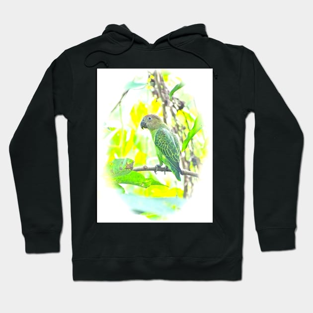 JUNGLE BUDDY Hoodie by dumbodancer